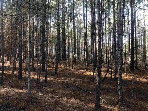 75 In Harmony Way, Moncure, NC 27559 photo 2