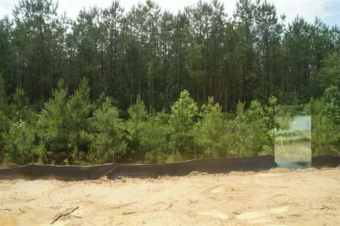 154 Kotata Ave, Bunnlevel, NC 28323 photo 29