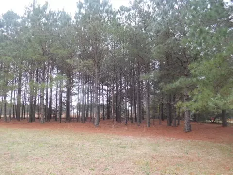 1376 Three Bridge Rd, Dunn, NC 28334 photo 16