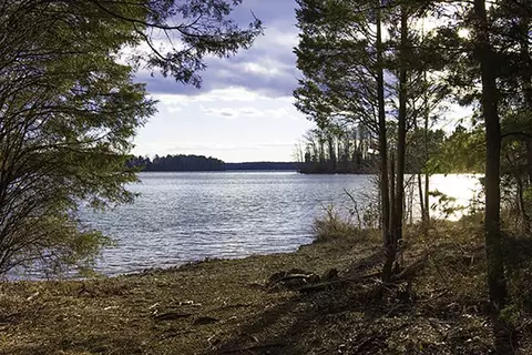 lot A High Plains Rd, Roxboro, NC 27574 photo 6