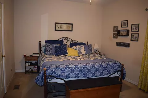 175 Whetstone Dr, Angier, NC 27501 photo 9