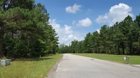 86 Woodvalley Dr, Erwin, NC 28339 photo 1