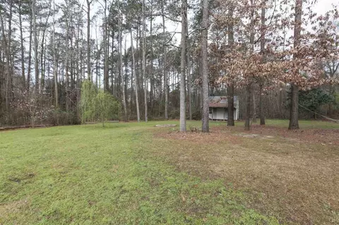 74 Jonquil Ln, Willow Spring, NC 27592 photo 22