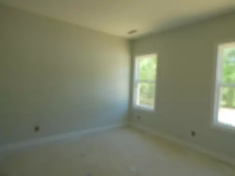 4199 Olde Judd Dr, Willow Spring, NC 27592 photo 19