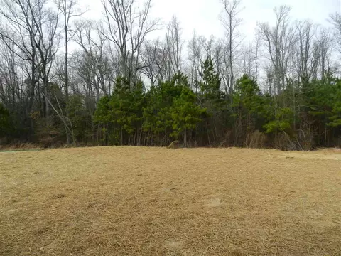 431 Bornean Dr, Garner, NC 27529 photo 10