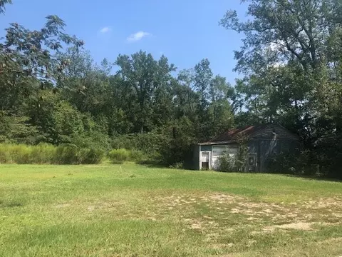 273 Pendergraft Rd, Bunnlevel, NC 28323 photo 3