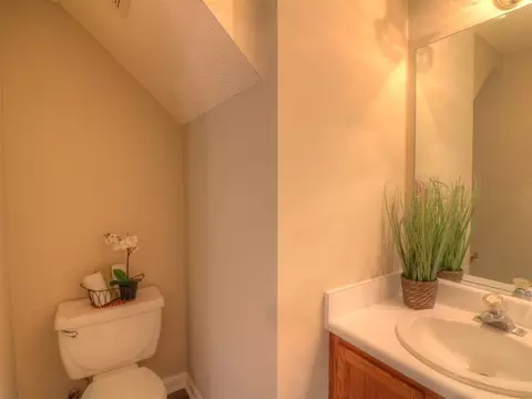 4515 Lazyriver Dr, Durham, NC 27712 photo 14