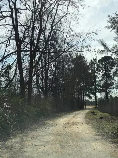 321 Don Ron Rd, Erwin, NC 28339 photo 2