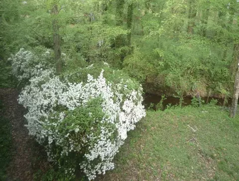3104 Buckingham Rd, Durham, NC 27707 photo 20