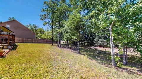114 Willmont Ct, Benson, NC 27504 photo 30