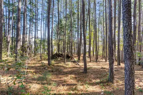 102 Green Forest Trl, Garner, NC 27529 photo 30