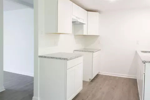 2224 E Williams St, Apex, NC 27539 photo 7