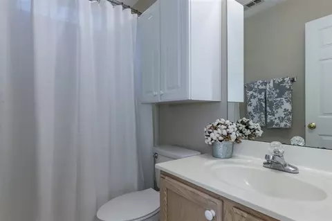 310 Pine Nut Ln, Apex, NC 27502 photo 22