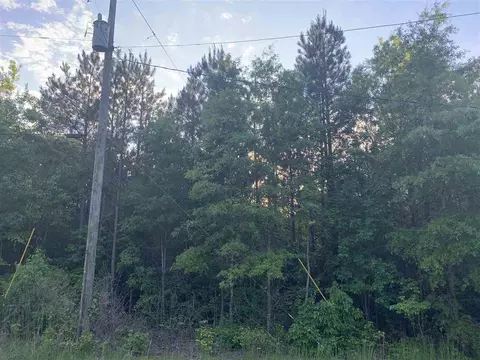 132 Colonial Park Rd, Staley, NC 27355 photo 11