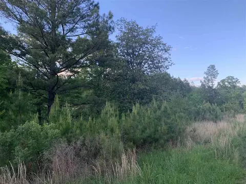 132 Colonial Park Rd, Staley, NC 27355 photo 9