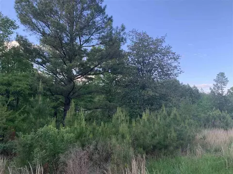 132 Colonial Park Rd, Staley, NC 27355 photo 4