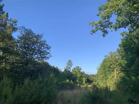 132 Colonial Park Rd, Staley, NC 27355 photo 8