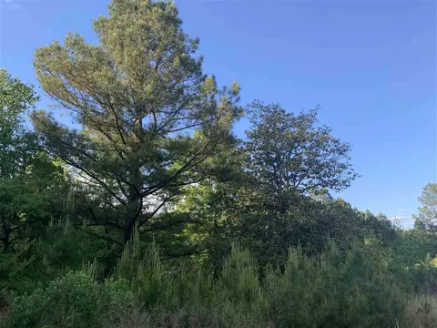 132 Colonial Park Rd, Staley, NC 27355 photo 7
