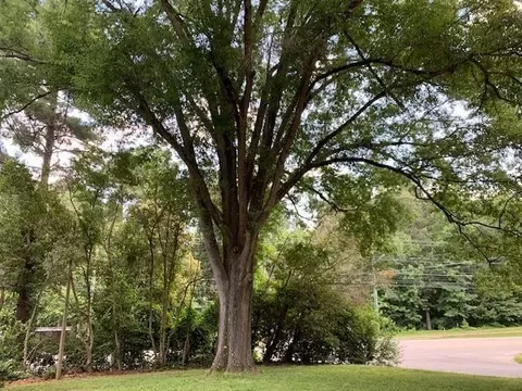 6300 Amhurst Rd, Durham, NC 27713 photo 25