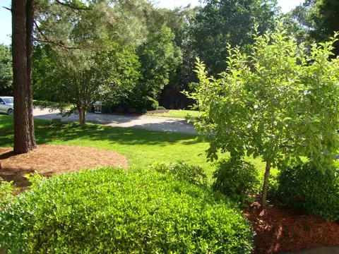 9417 Buggy Run Cir, Wake Forest, NC 27587 photo 3