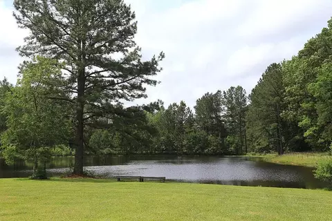10419 Stallings Rd, Spring Hope, NC 27882 photo 2
