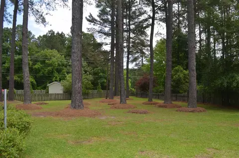 8 Alpine Ct, Smithfield, NC 27577 photo 4