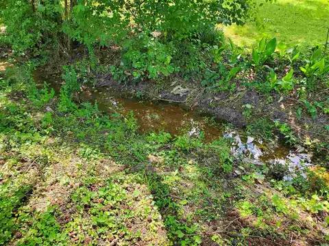 404 E Chatham St, Apex, NC 27502 photo 7