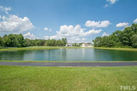 74 Blessed Ln, Angier, NC 27501 photo 20