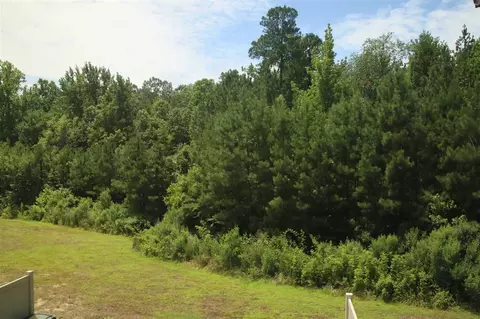 1503 Catch Fly Ln, Durham, NC 27713 photo 5