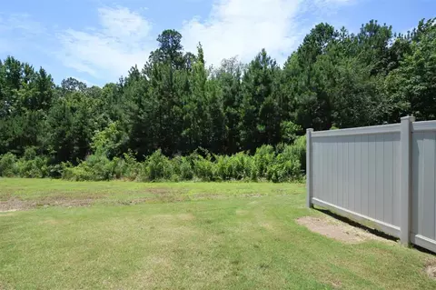 1503 Catch Fly Ln, Durham, NC 27713 photo 4