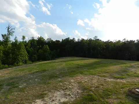 189 Cornfield Ln, Benson, NC 27504 photo 12