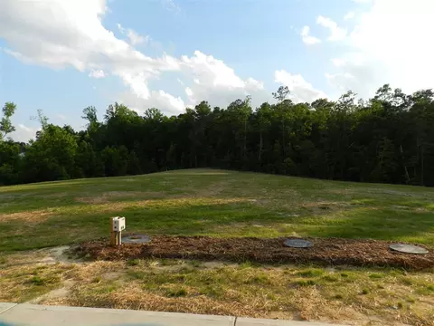 209 Cornfield Ln, Benson, NC 27504 photo 10