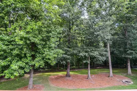 6221 Silver Spring Ct, Willow Spring, NC 27592 photo 16