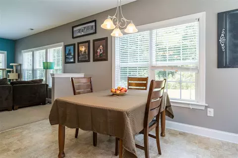 133 Arbor Loop, Angier, NC 27501 photo 14