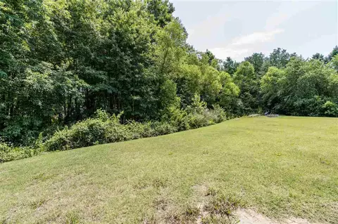 133 Arbor Loop, Angier, NC 27501 photo 25