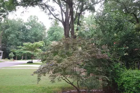 1623 Shawnee St, Durham, NC 27701 photo 29
