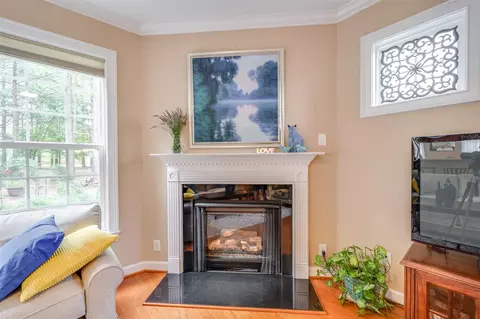 233 Plott Hound Ln, Wake Forest, NC 27587 photo 9