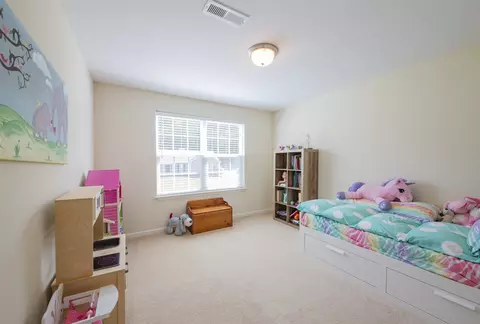 328 Gray Ghost St, Benson, NC 27504 photo 19