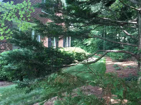 43 Cheswick Pl, Durham, NC 27707 photo 21