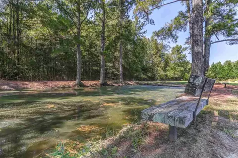 2665 Micro Rd, Selma, NC 27576 photo 28