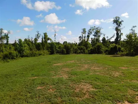 150 Cornfield Ln, Benson, NC 27504 photo 21