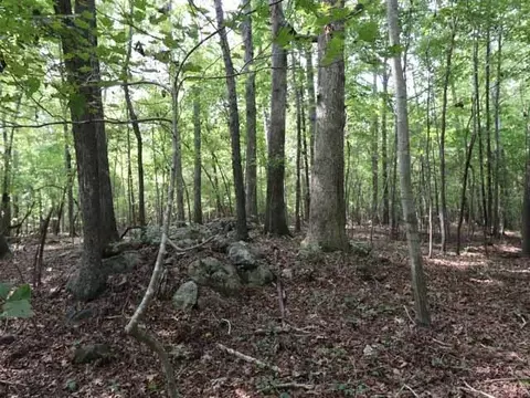 6080 Craig Rd, Durham, NC 27712 photo 5