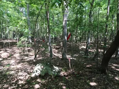 6080 Craig Rd, Durham, NC 27712 photo 3
