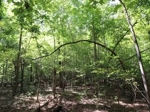 6080 Craig Rd, Durham, NC 27712 photo 9