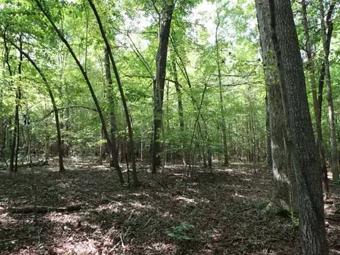 6080 Craig Rd, Durham, NC 27712 photo 7