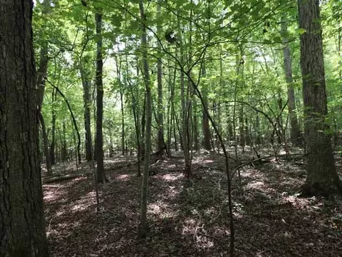 6080 Craig Rd, Durham, NC 27712 photo 6