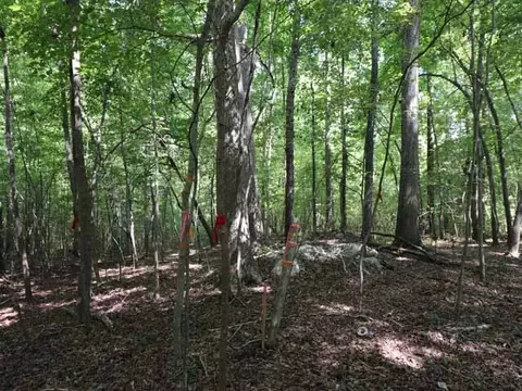 6080 Craig Rd, Durham, NC 27712 photo 8