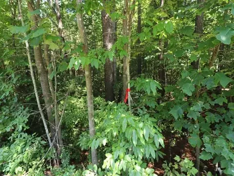 6080 Craig Rd, Durham, NC 27712 photo 1