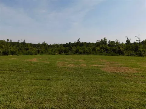 214 Cornfield Ln, Benson, NC 27504 photo 24