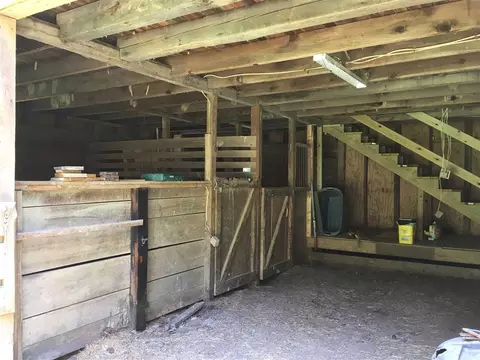 10611 Hampton Rd, Rougemont, NC 27572 photo 20